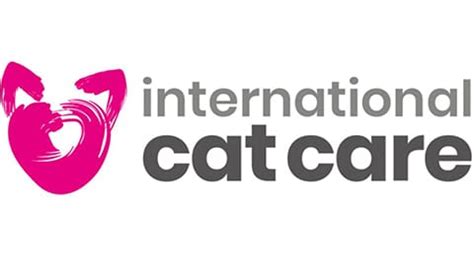 13 Best Cat Charities and Good Causes to Support .